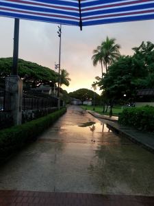 10665810_10152530798706033_2276501508737226842_n